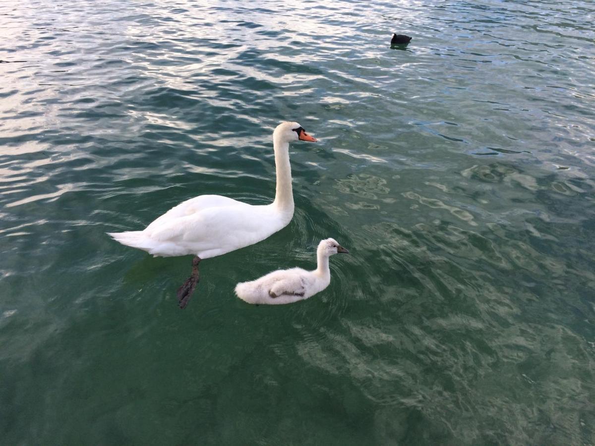 Apartmán Lac Annecy Plage Privee, Duplex Baie Des Voiles Duingt Exteriér fotografie